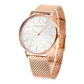 Coach Perry Silver Dial Rose Gold Mesh Bracelet Watch for Women - 14503386