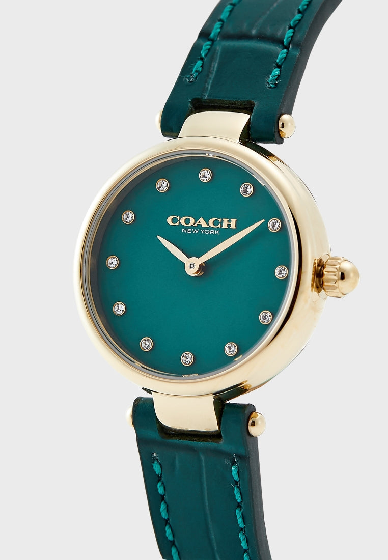 Coach Park Analog Green Dial Green Leather Strap Watch for Women - 14503534