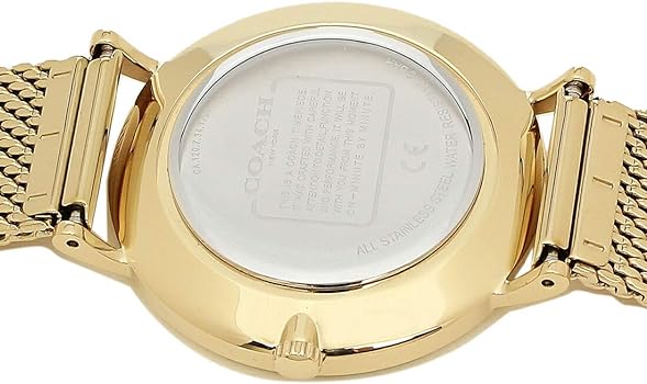 Coach Perry Silver Dial Gold Mesh Bracelet Watch for Women - 14503385