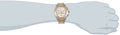 Hugo Boss Ikon Chronograph Silver Dial Two Tone Steel Strap Watch for Men - 1512960