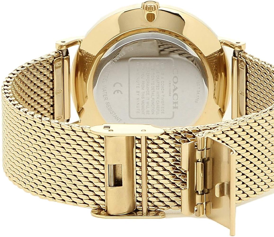 Coach Perry Silver Dial Gold Mesh Bracelet Watch for Women - 14503385