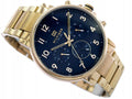 Tommy Hilfiger Daniel Blue Dial Gold Steel Strap Watch for Men - 1710384