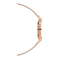 Daniel Wellington Petite Rose Gold Dial Rose Gold Mesh Bracelet Watch For Women - DW00100470