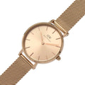 Daniel Wellington Petite Rose Gold Dial Rose Gold Mesh Bracelet Watch For Women - DW00100470