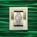 Rolex Datejust 36 Silver Dial Two Tone Oyster Steel & Yellow Gold Strap Watch for Women - M126233-0031