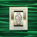 Rolex Datejust 36 Silver Dial Two Tone Steel Yellow Gold Strap Watch for Women - M126233-0032