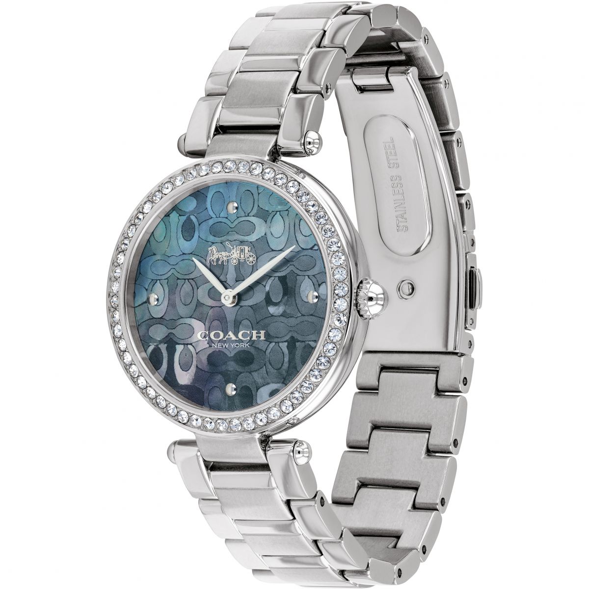 Coach Park Blue Mother of Pearl Dial Silver Steel Strap Watch for Women - 14503224