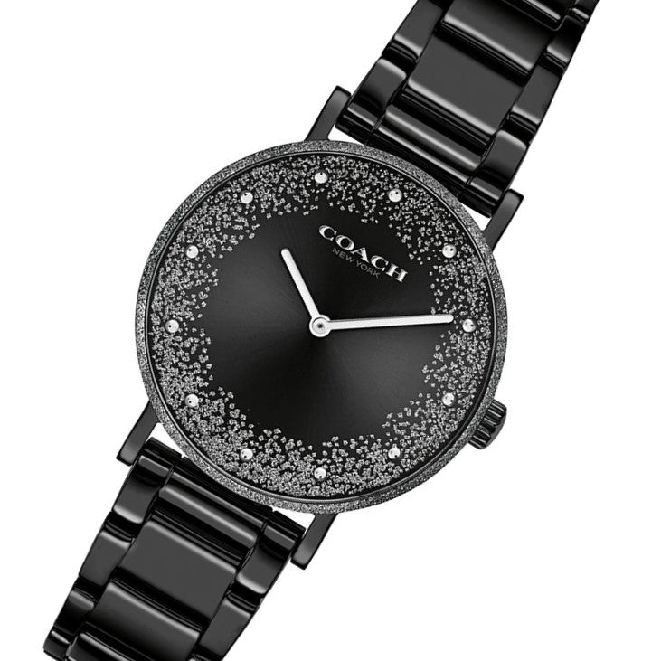 Coach Perry Black Ion Plated Dial Black Steel Strap Watch for Women - 14503641