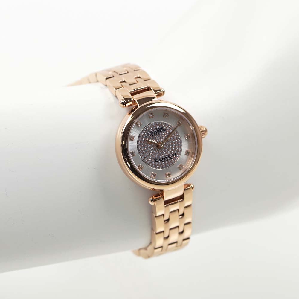 Coach Park Silver Dial Rose Gold Steel Strap Watch for Women - 14503736