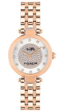 Coach Park Silver Dial Rose Gold Steel Strap Watch for Women - 14503735