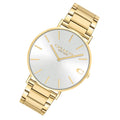 Coach Charles Silver Dial Gold Steel Strap Watch for Men - 14602430