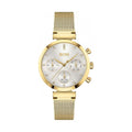 Hugo Boss Flawless Chronograph Silver Dial Gold Mesh Bracelet Watch for Women - 1502552