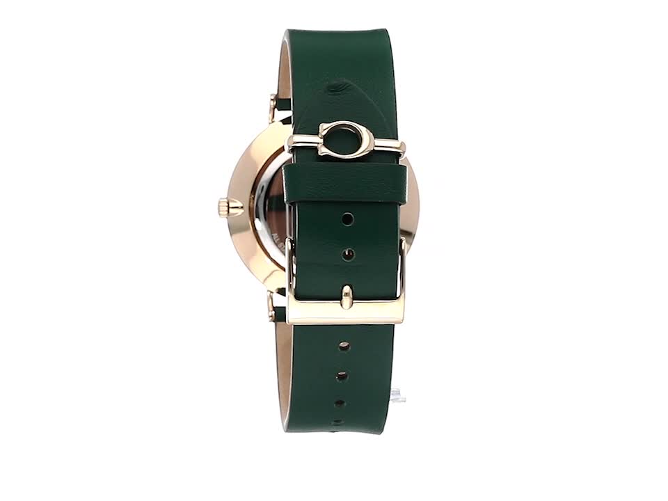 Coach Green Dial Green Leather Strap Watch for Women - 14503383