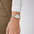 Tissot Bellissima Small Lady Quartz Mother of Pearl Dial Two Tone Stainless Steel Watch For Women - T126.010.22.013.00