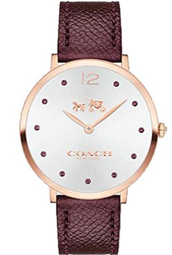 Coach Slim Easton Silver Dial Brown Leather Strap Watch for Women - 14502694