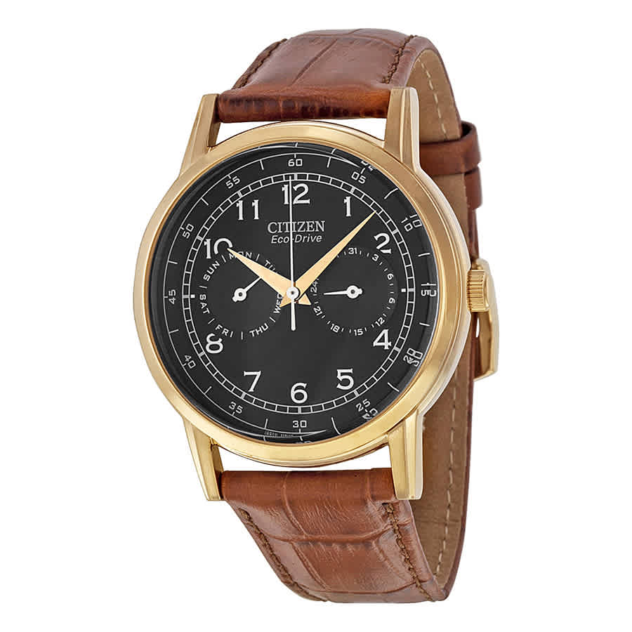 Citizen Eco-Drive Multi Function Day & Date Black Dial Brown Leather Strap Watch For Men - AO9003-08E