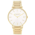 Coach Charles Silver Dial Gold Steel Strap Watch for Men - 14602430