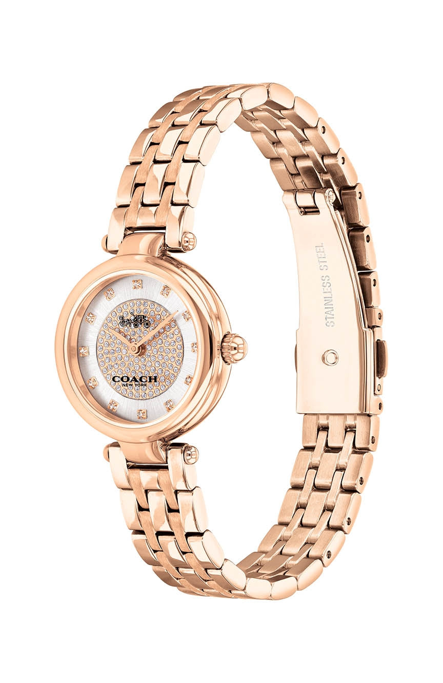 Coach Park Silver Dial Rose Gold Steel Strap Watch for Women - 14503735