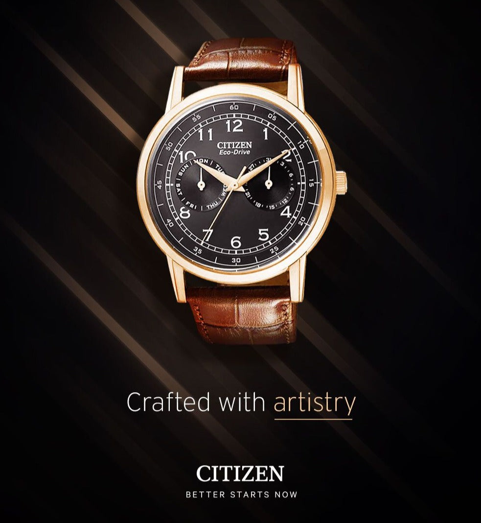 Citizen Eco-Drive Multi Function Day & Date Black Dial Brown Leather Strap Watch For Men - AO9003-08E