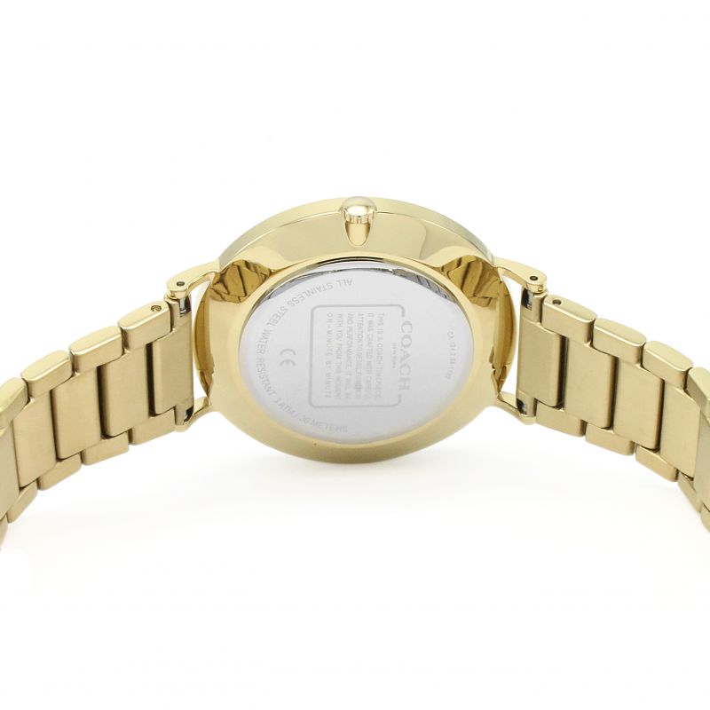 Coach Charles Silver Dial Gold Steel Strap Watch for Men - 14602430