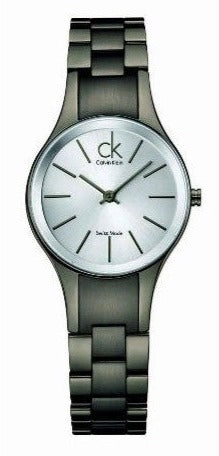 Calvin Klein Simplicity Silver Dial Grey Steel Strap Watch for Women - K4323620