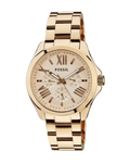 Fossil Cecile Rose Gold Dial Rose Gold Steel Strap Watch for Women - AM4511