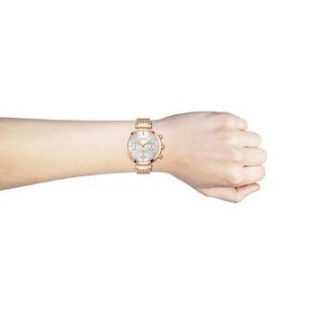 Hugo Boss Flawless Chronograph Silver Dial Gold Mesh Bracelet Watch for Women - 1502553