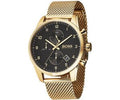 Hugo Boss Skymaster Chronograph Black Dial Gold Mesh Bracelet Watch for Men - 1513838