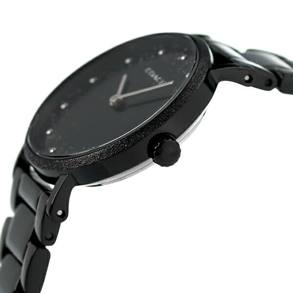 Coach Perry Black Ion Plated Dial Black Steel Strap Watch for Women - 14503641