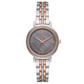 Michael Kors Cinthia Grey Mother of Pearl Dial Two Tone Steel Strap Watch for Women - MK3642