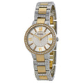 Fossil Virginia Silver Dial Two Tone Steel Strap Watch for Women - ES3503