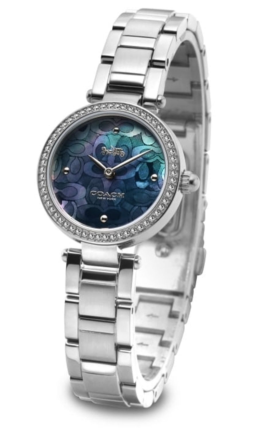 Coach Park Blue Mother of Pearl Dial Silver Steel Strap Watch for Women - 14503224