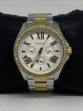 Fossil Cecile White Dial Two Tone Steel Strap Watch for Women - AM4543