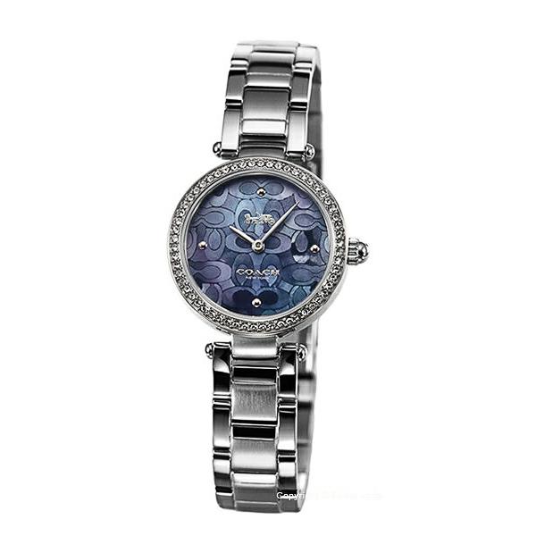 Coach Park Blue Mother of Pearl Dial Silver Steel Strap Watch for Women - 14503224