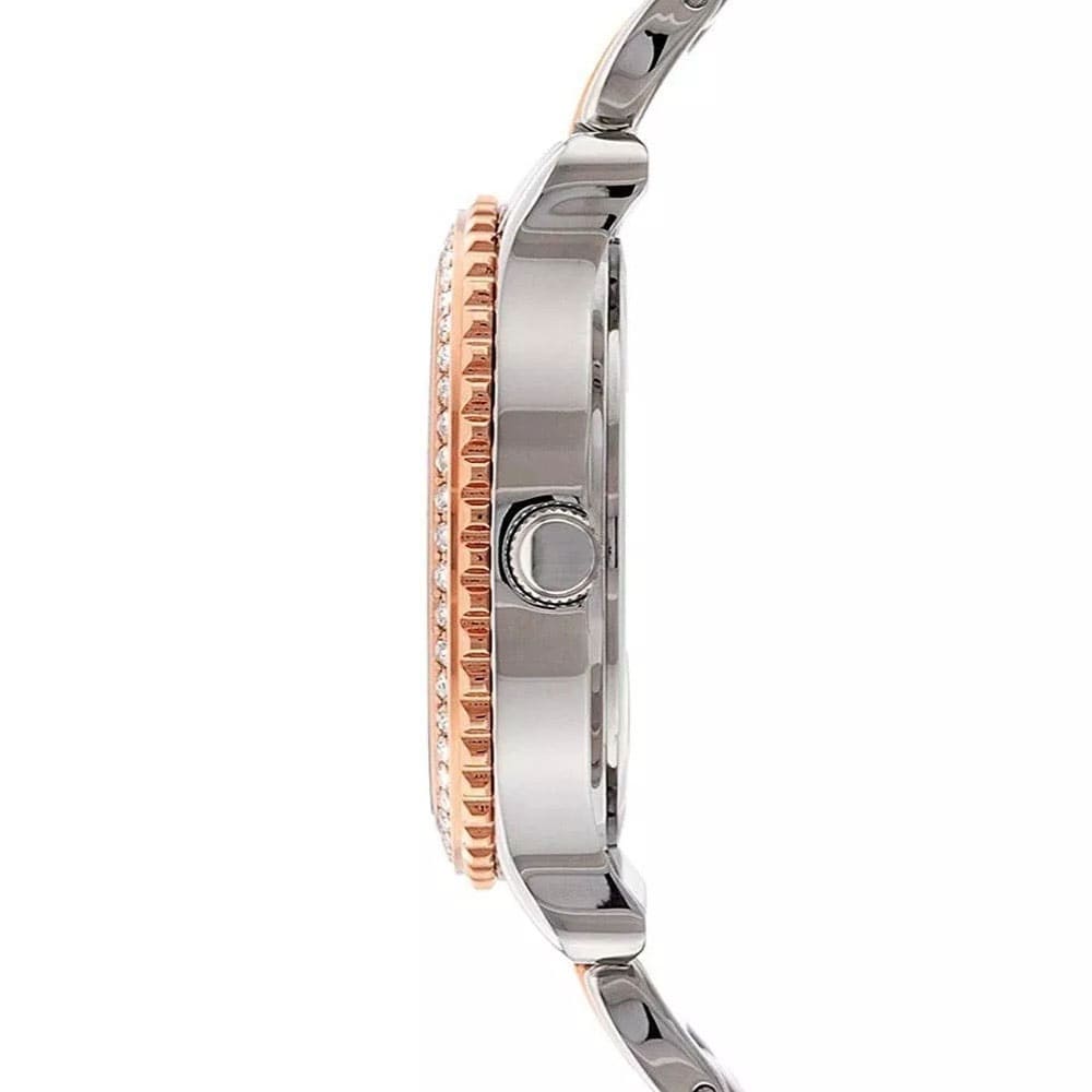 Guess Enchanting Diamonds Silver Dial Two Tone Steel Strap Watch for Women - W0305L3